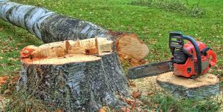 Best Tree Preservation Services  in Sparks, GA